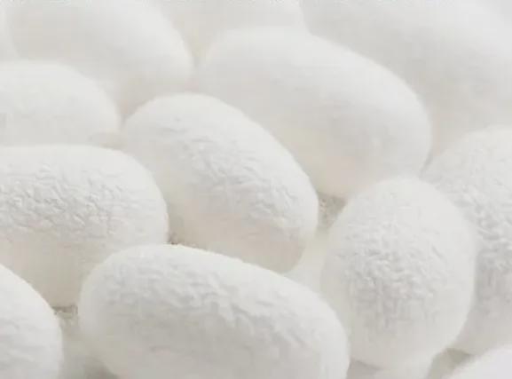 膝保暖锁温；关节膏抹开温温热热搭配按摩更好新利体育登录天一凉关节就开始难受了？蚕丝护(图2)