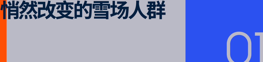 卷出天际的滑雪市场雪友要向「国家队」看齐